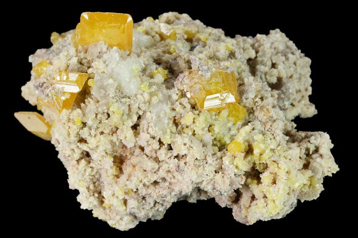 Orange Wulfenite and Botryoidal Mimetite - La Morita Mine, Mexico #170303
